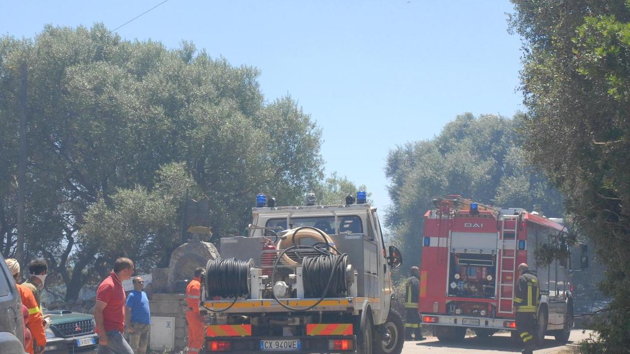 Incendio del bosco a Telti: l’Enel davanti al giudice 