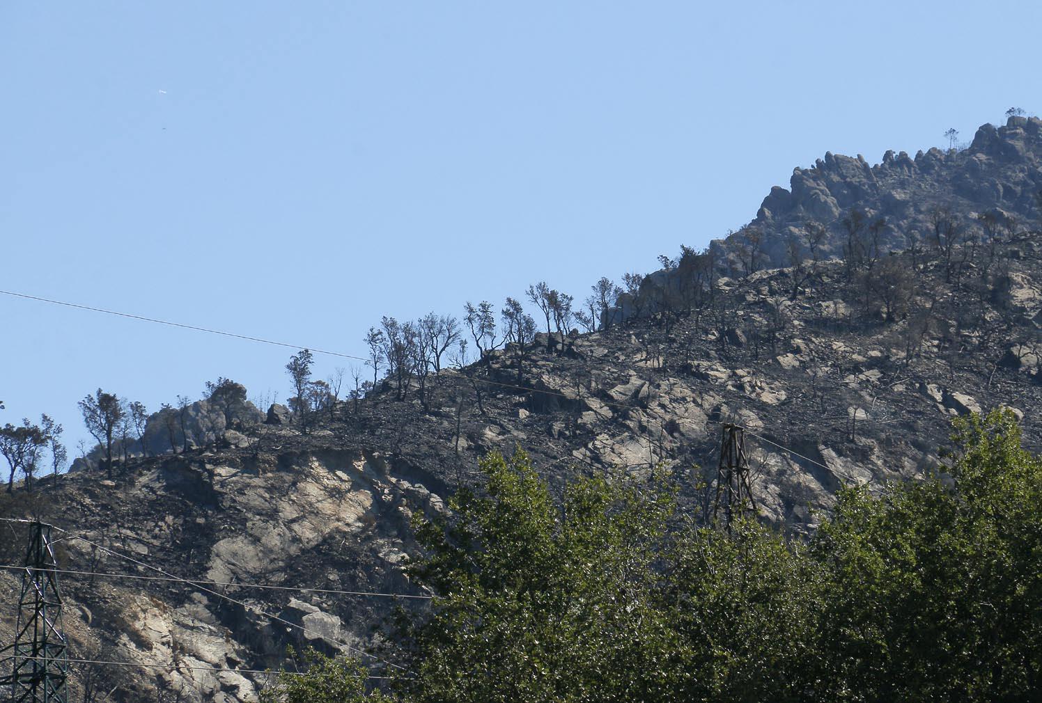 Un'immagine del Monte Serra dopo l'incendio (foto Renzullo/Muzzi)
