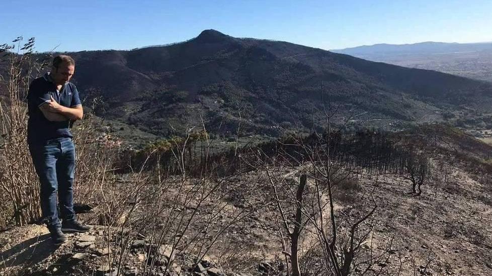 Il messaggio di speranza del sindaco «Ripartiremo anche questa volta»