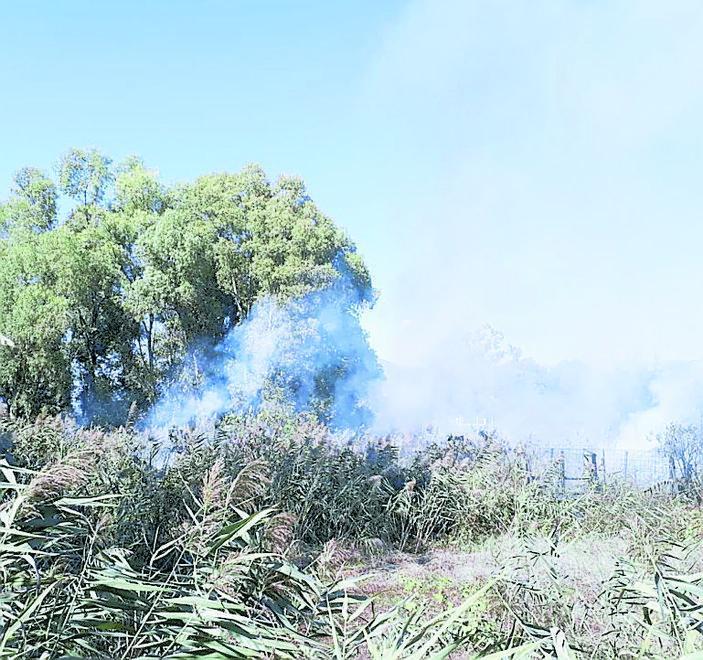 Ancora fiamme a Massarosa Bruciano i campi della Bonifica 