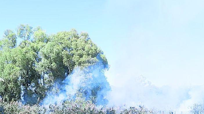 Ancora fiamme a Massarosa Bruciano i campi della Bonifica