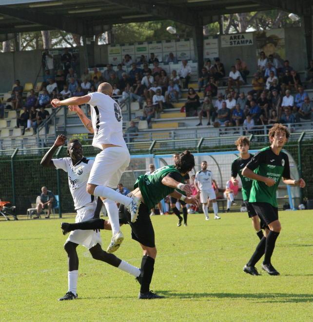 Pieri senza Mitrotti per 2 turni In avanti Nardini-Mancini