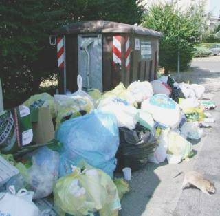 In basso a destra si può vedere un topo di grandi dimensioni