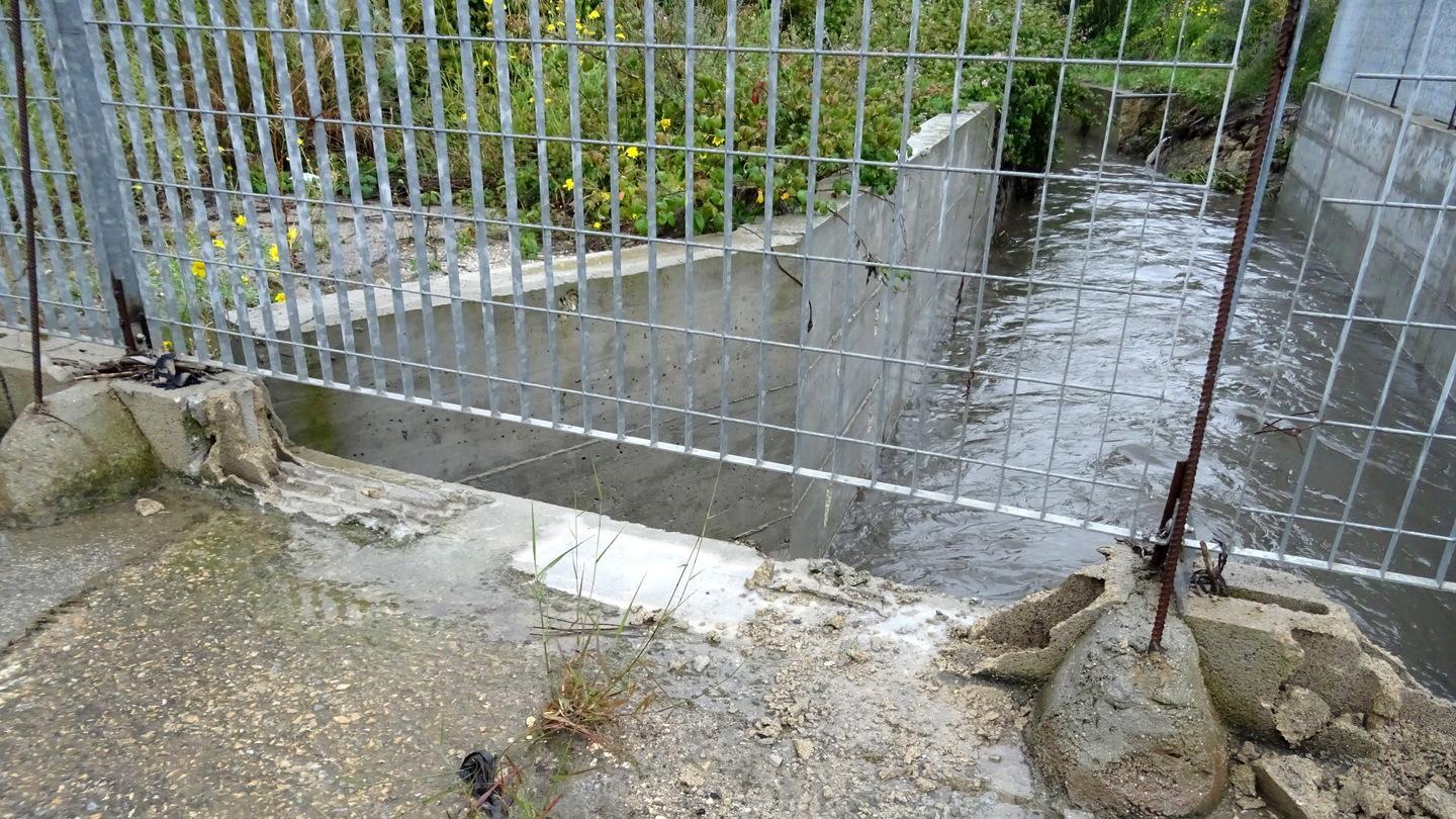 Via foglie e rifiuti dal rio Calamasciu 