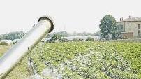 C’è poca acqua per irrigare i campi