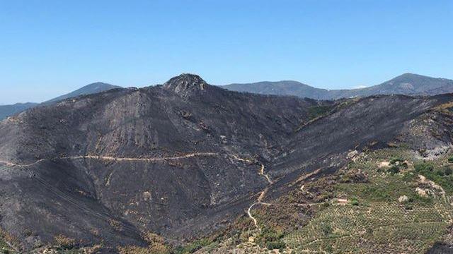 Monte Serra, il capo dei vigili del fuoco: «Il piromane abita fra noi» - Video