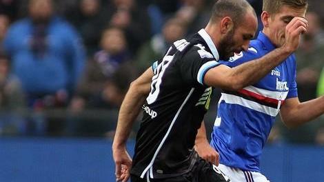 Spal, notte di fuoco Con la Sampdoria per rialzare la testa