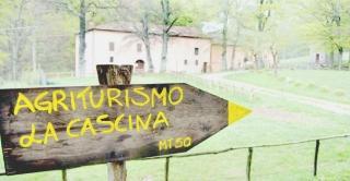Agriturismi più fortidella crisi del settoreE le camere raddoppiano