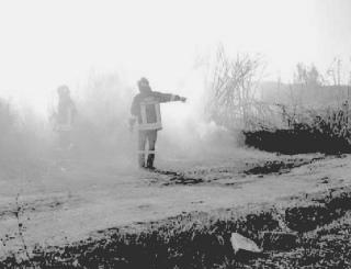 Ieri i vigili del fuoco sono riusciti a domare le fiamme lungo la Bure soltanto dopo molte ore Sul posto anche l’elicottero della Macchia Antonina
