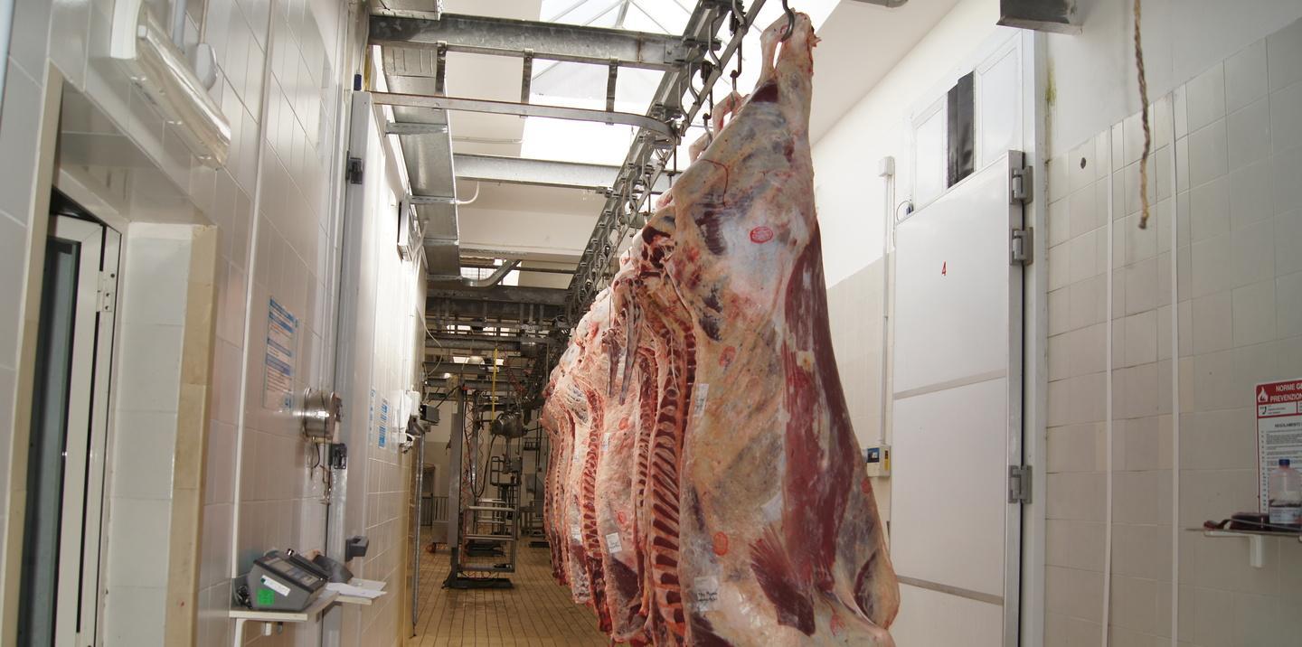 «Mattatoio, se i fondi sono stati persi è colpa del Comune» 