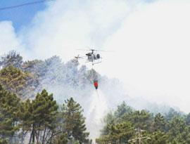 Ventinove incendi e la solita mano