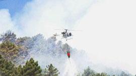 Ventinove incendi e la solita mano