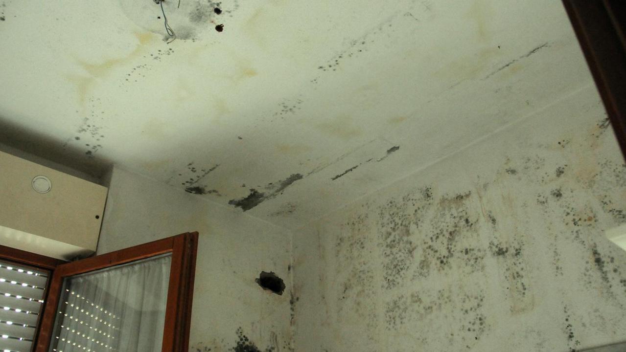 Area, una donna invalida costretta a vivere senza l'energia elettrica