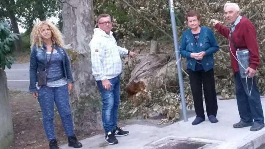 Incontro sugli alberi caduti
