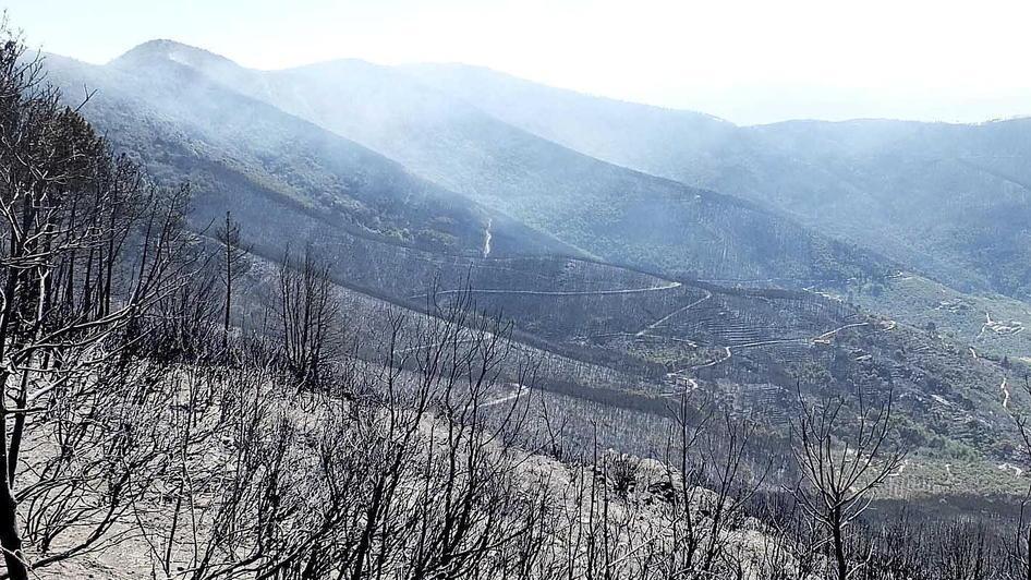 La devastazione su Monte Serra (foto Fabio Muzzi)