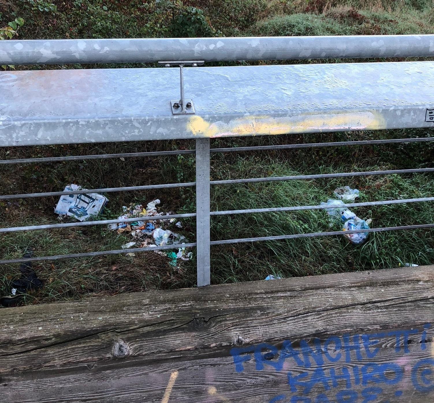 Reggio Emilia, dal porta a porta al “porta giù dal ponte” 
