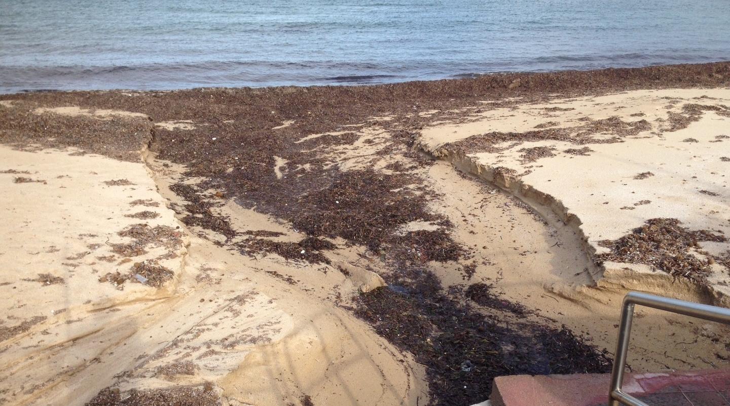 Gli scarichi fognari sulla spiaggia 