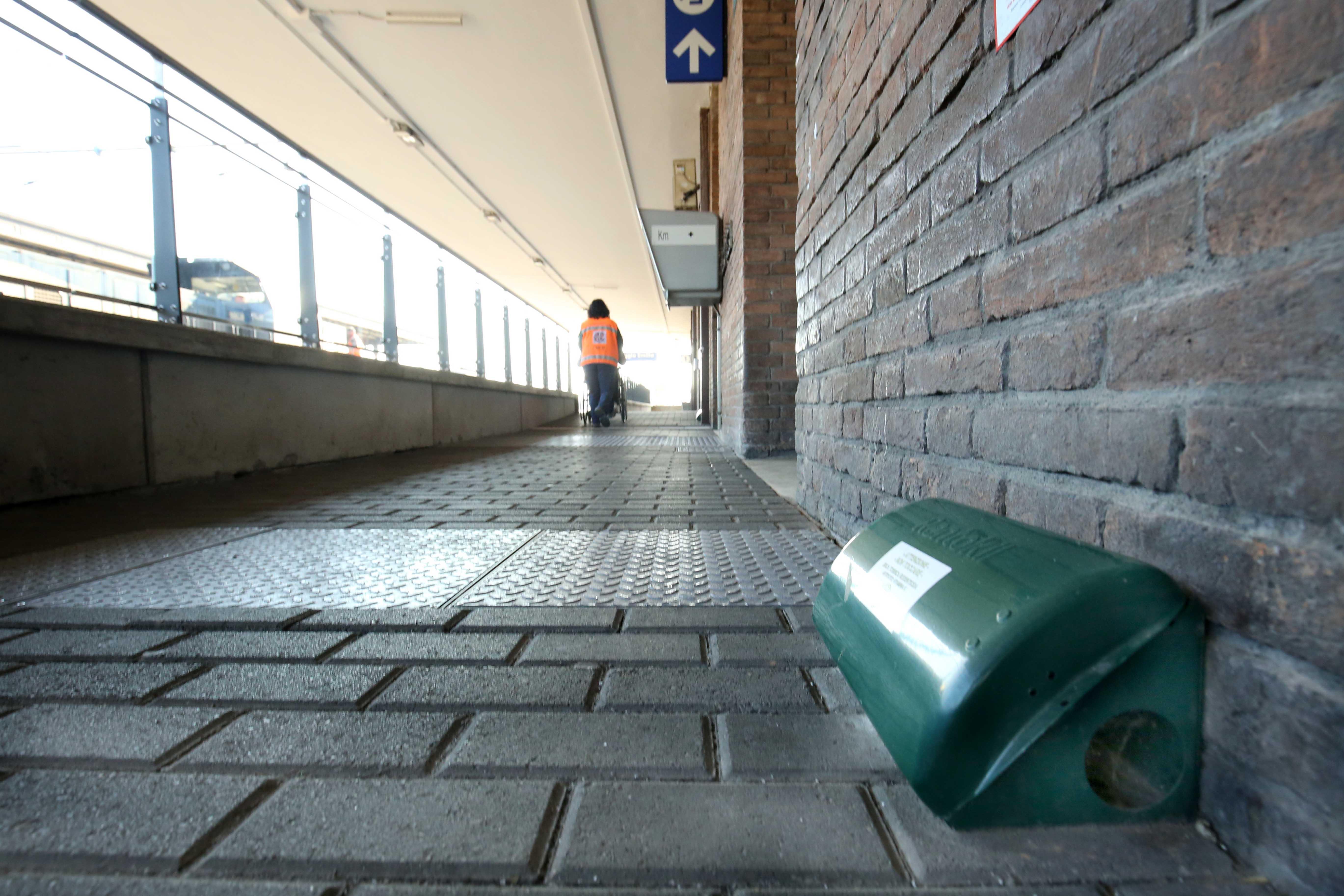 Nuove trappole dentro la stazione per abbattere le colonie di topi