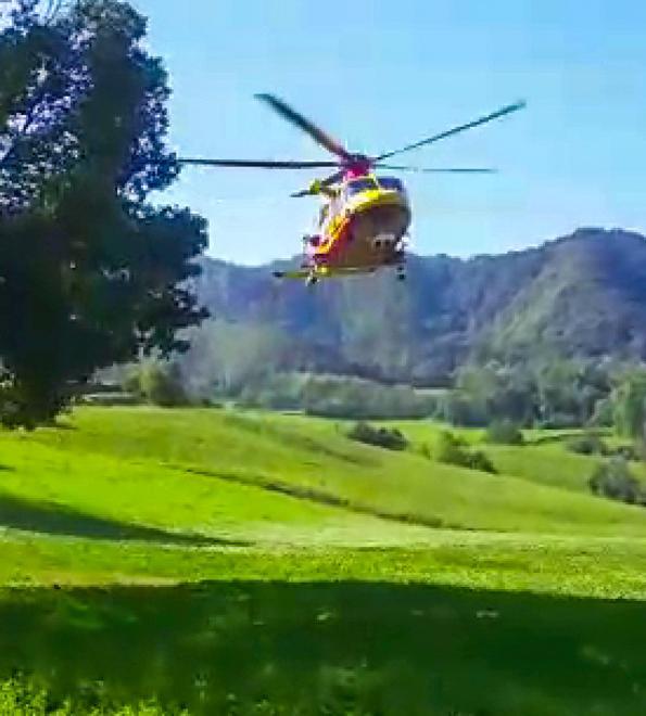 Punto da un calabrone 74enne perde conoscenza 