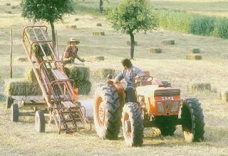 Addetti di un’impresa agricola al lavoro nei campi