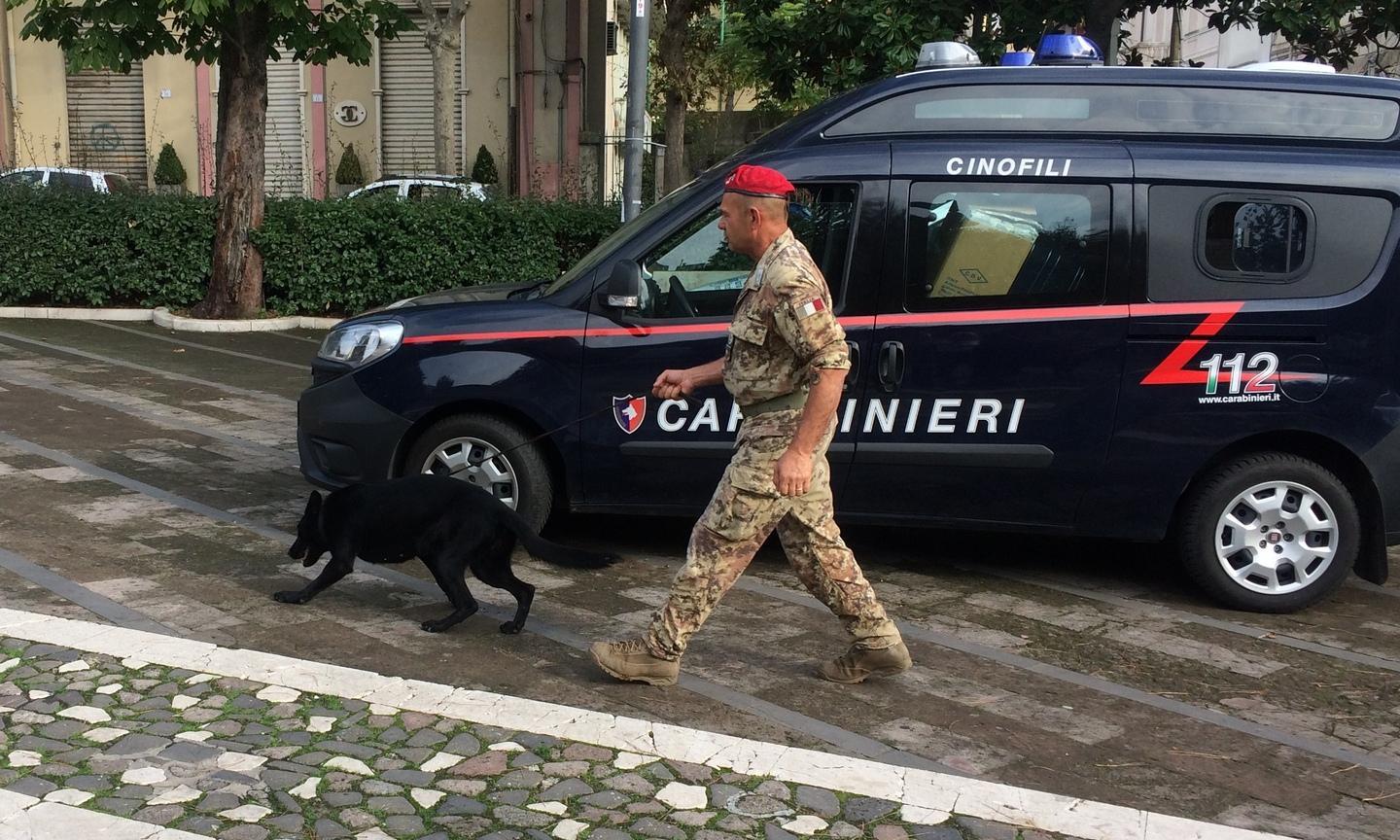 Applausi per i cani antidroga