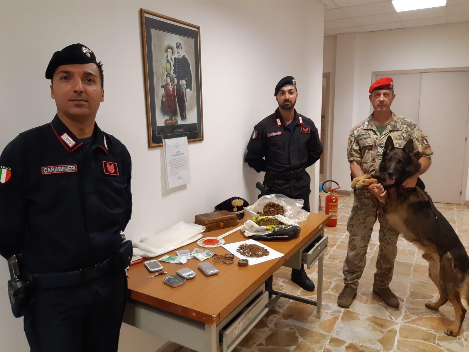 Marijuana nascosta in casa, arrestata una 39enne
