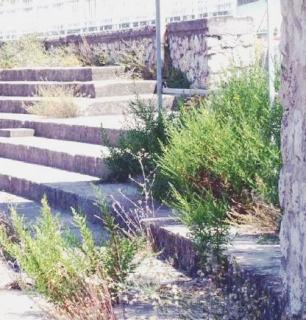 Quattro immagini che testimoniano lo stato di incuria dello stadio: da destra, la gradinata, l’esterno, una delle porte d’ingresso e i servizi igienici