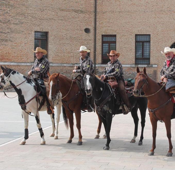 I Cowboys liberano le briglie A cavallo in pieno Delta del Po 