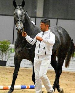 Silanus, grande attesa per l’inaugurazione della scuola equestre 