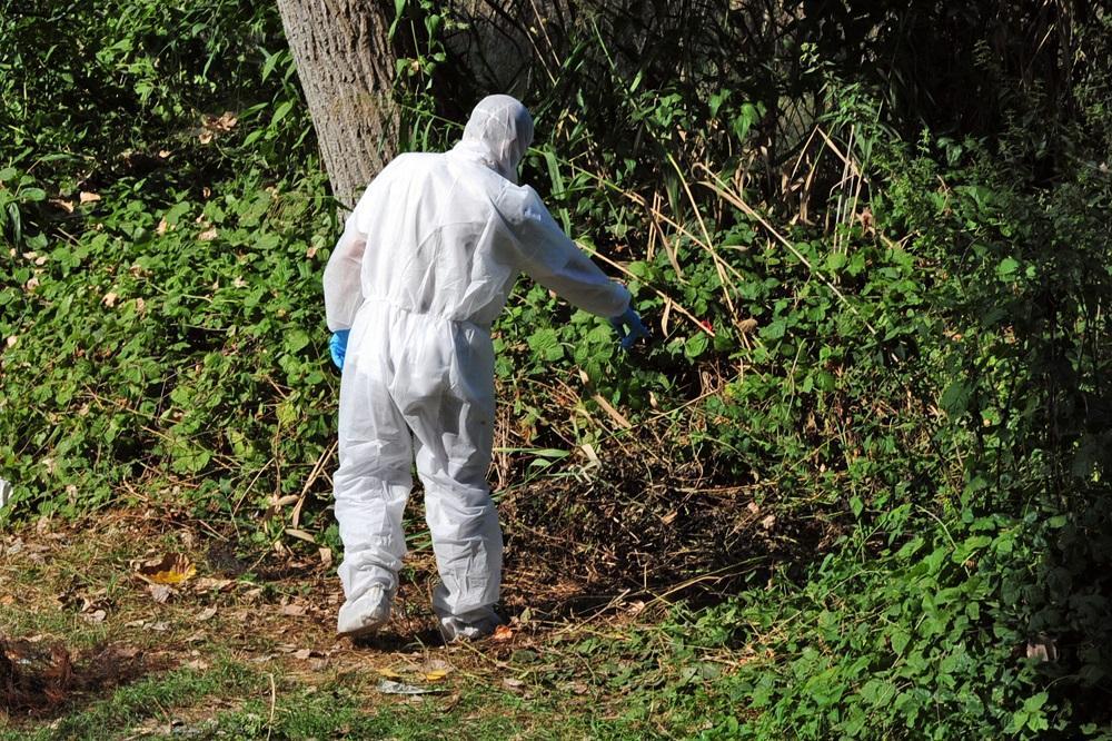 Modena, omicidio di San Donnino: "Ecco come abbiamo trovato l'assassino"