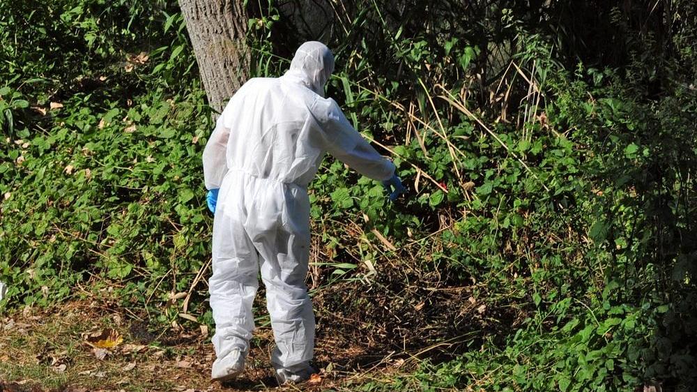 Modena, omicidio di San Donnino: "Ecco come abbiamo trovato l'assassino"