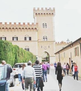 L’ingresso di Bolgheri