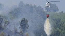 Fiamme sui boschi di Gombitelli ed è caccia al piromane