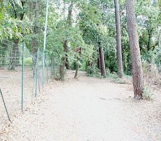 Sopra un vigile del fuoco al lavoro A sinistra, il bosco di Stagno che ha preso fuoco sabato