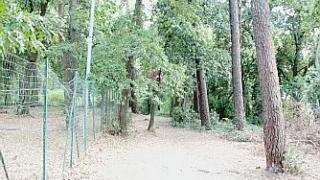 Sopra un vigile del fuoco al lavoro A sinistra, il bosco di Stagno che ha preso fuoco sabato