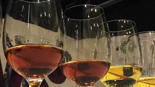 Wine and Sardinia 2018 proclama i vincitori 