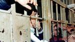 Niente acqua, i detenuti incendiano oggetti nel carcere di Pisa