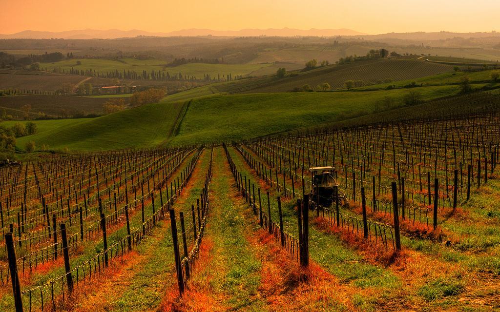 Sulle colline del Chianti tra panorami mozzafiato castelli e calici profumati