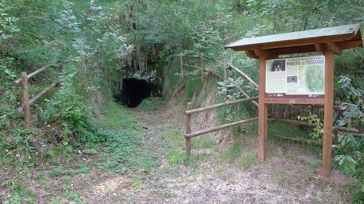 Itinerari/ Tra Dolo e Dragone, in mountain bike dove si uniscono le acque