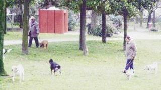 Animali, Pistoia è all'avanguardia