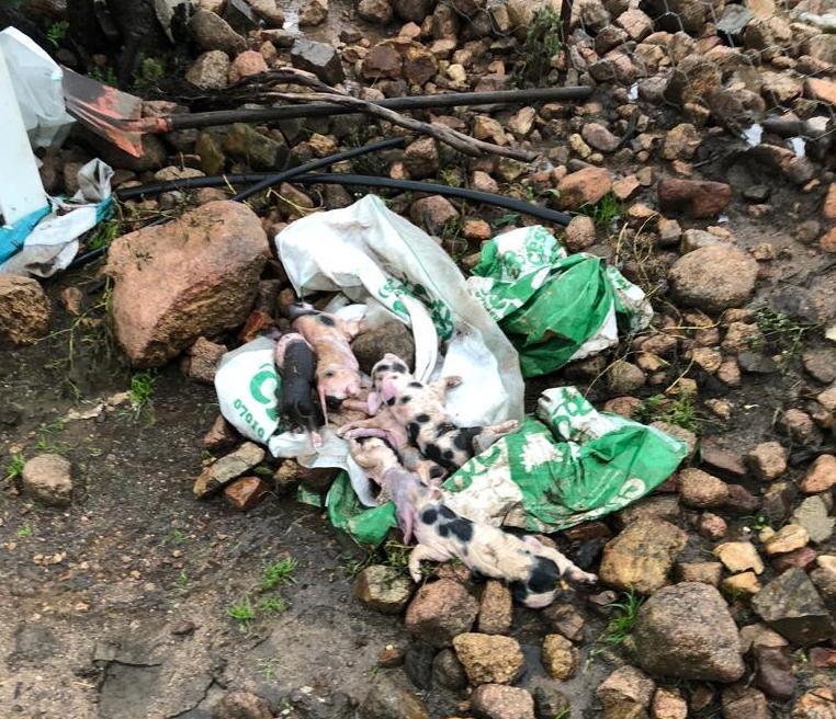 Tertenia, stato di calamità Viabilità ancora a rischio 