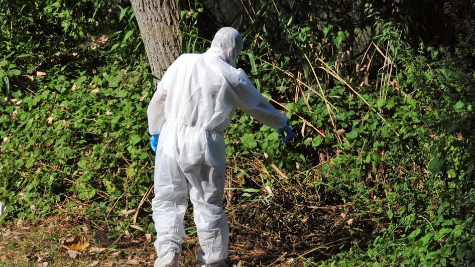 Nicoleta, una vita di strada tra incidenti, botte e l’omicidio