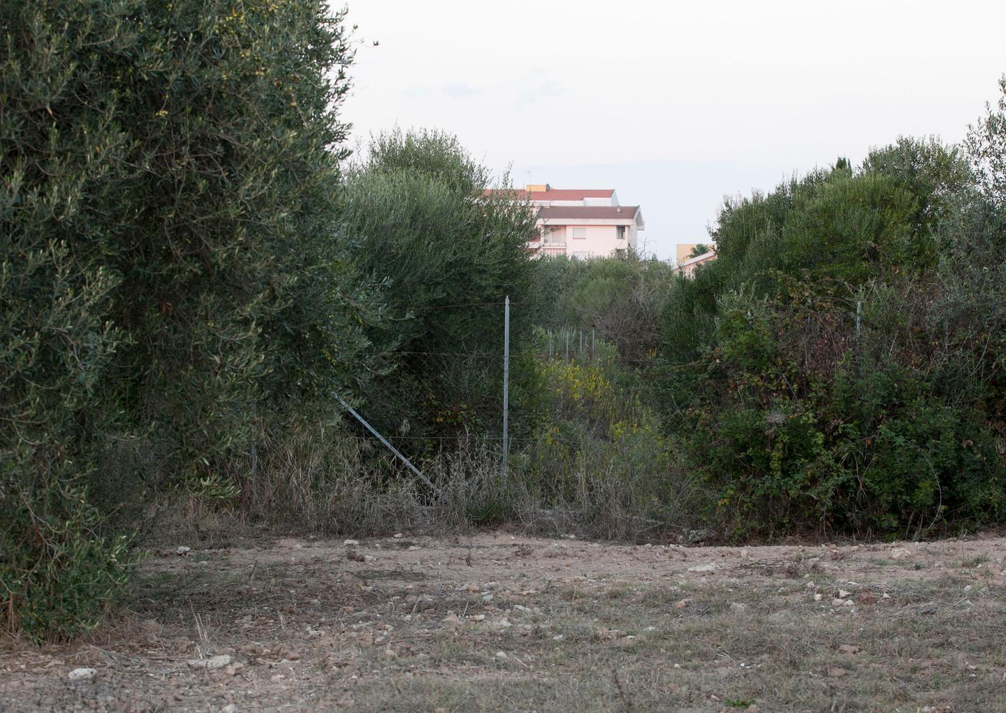 «Il canalone è ostruito, agire subito» 