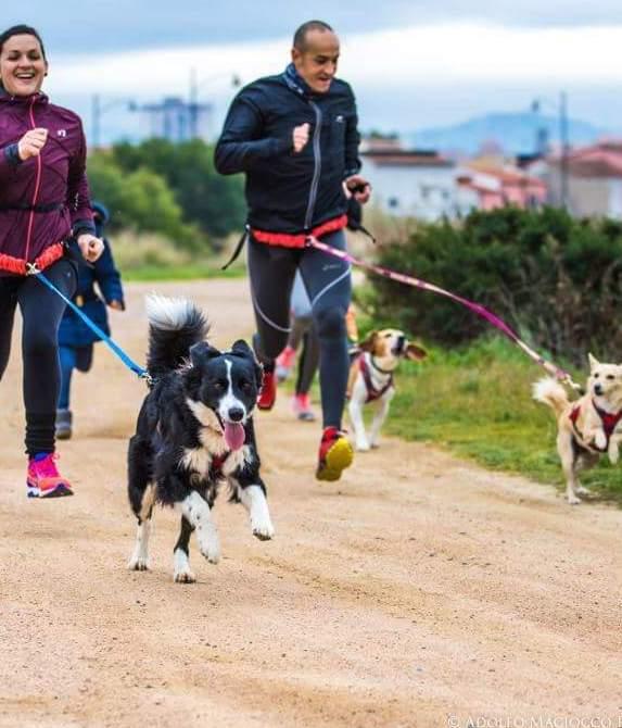 “Viaggio a 6 zampe”, incontro sul rapporto cane-padrone