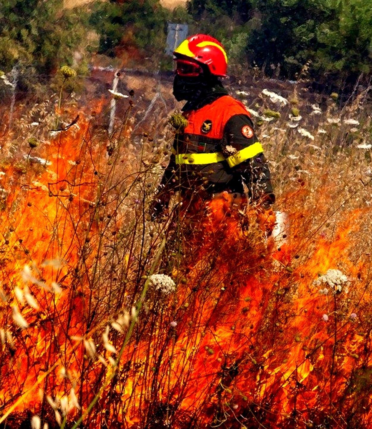 Il piromane dei 20 incendi tradito dalla sua auto