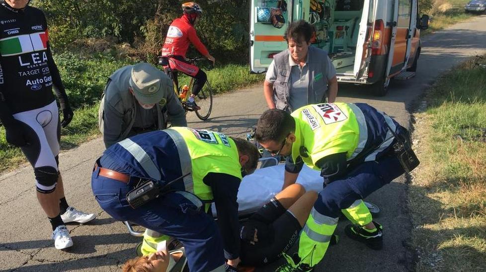 Sassuolo, ciclista investita da cinghiale: finisce in ospedale 