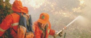 E' l'autore di decine di incendi