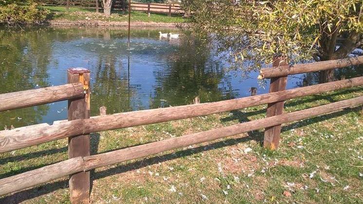 Ancora vandalismi ai Gorghi