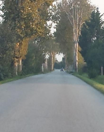 La strada provinciale è senza segnaletica Riesplode la protesta