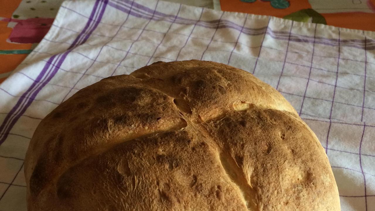 Oliena, la riscoperta del pane d’orzo 